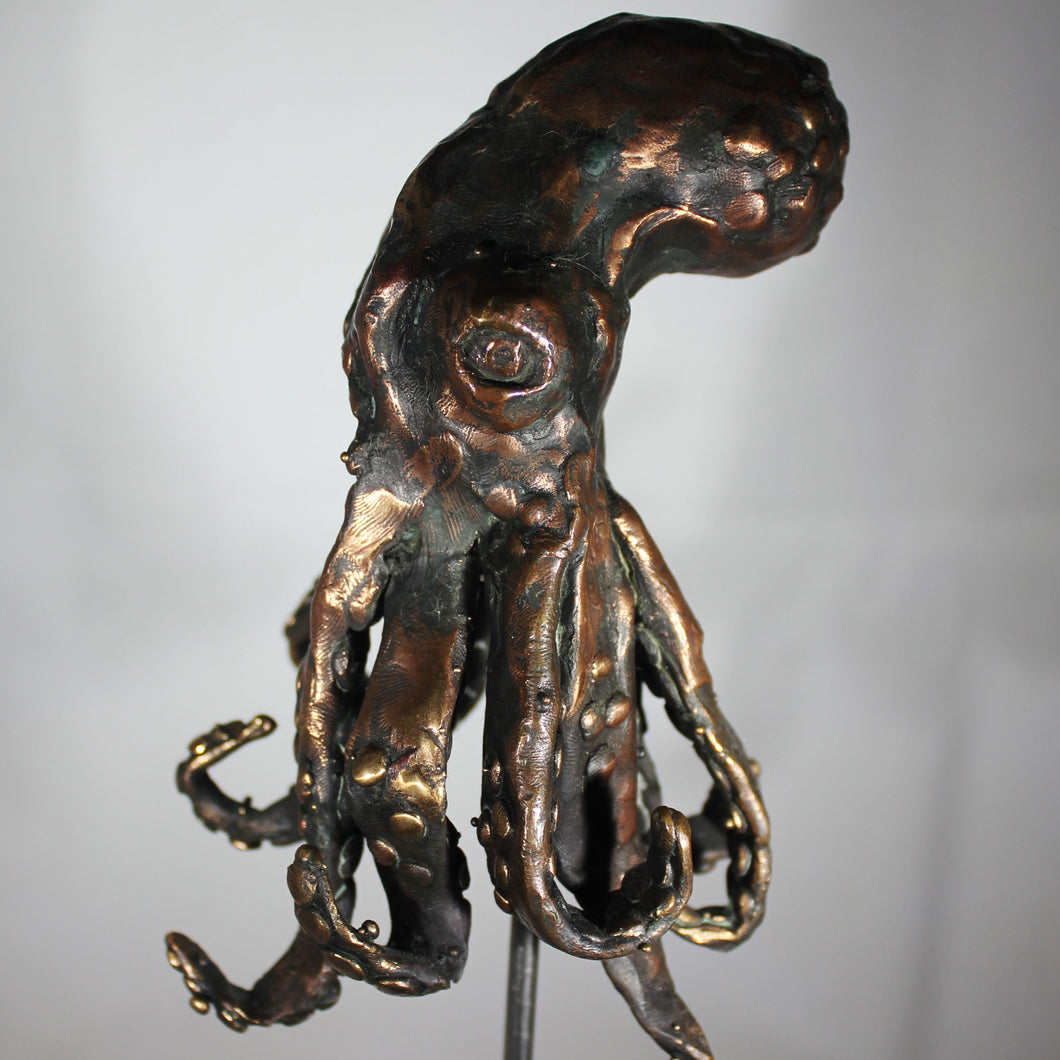 Octopus