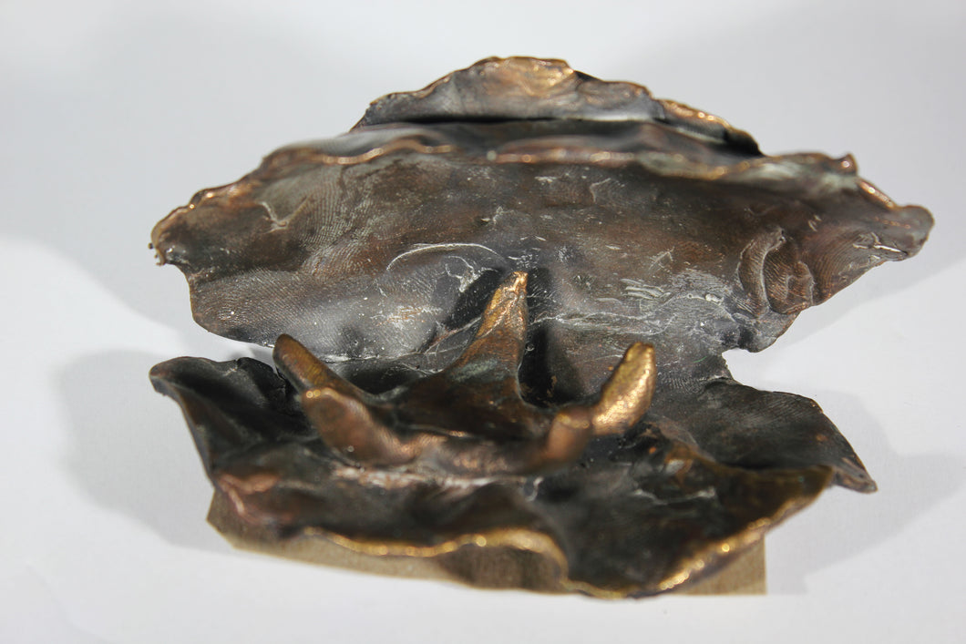 Oyster